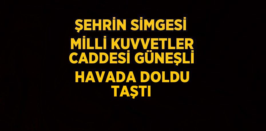 ŞEHRİN SİMGESİ MİLLİ KUVVETLER CADDESİ GÜNEŞLİ HAVADA DOLDU TAŞTI