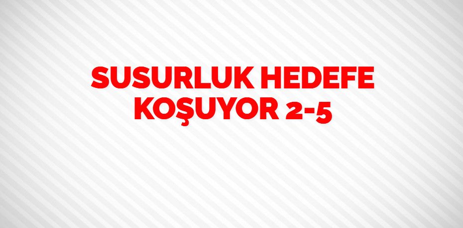 SUSURLUK HEDEFE KOŞUYOR     2-5