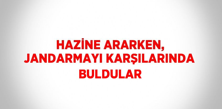 HAZİNE ARARKEN, JANDARMAYI KARŞILARINDA BULDULAR