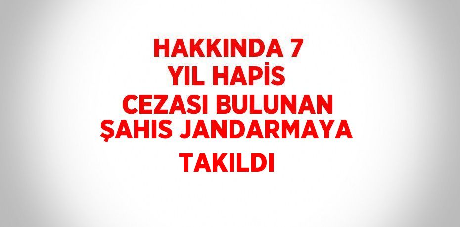 HAKKINDA 7 YIL HAPİS CEZASI BULUNAN ŞAHIS JANDARMAYA TAKILDI