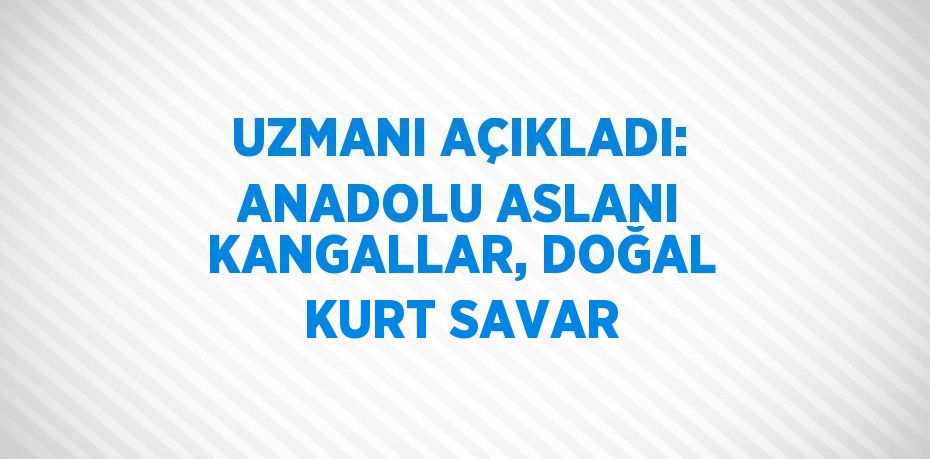 UZMANI AÇIKLADI: ANADOLU ASLANI KANGALLAR, DOĞAL KURT SAVAR