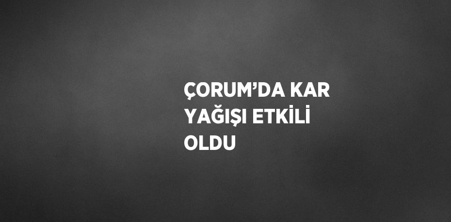 ÇORUM’DA KAR YAĞIŞI ETKİLİ OLDU