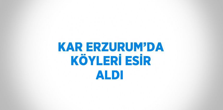 KAR ERZURUM’DA KÖYLERİ ESİR ALDI