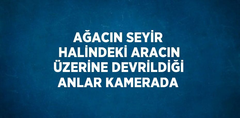 AĞACIN SEYİR HALİNDEKİ ARACIN ÜZERİNE DEVRİLDİĞİ ANLAR KAMERADA