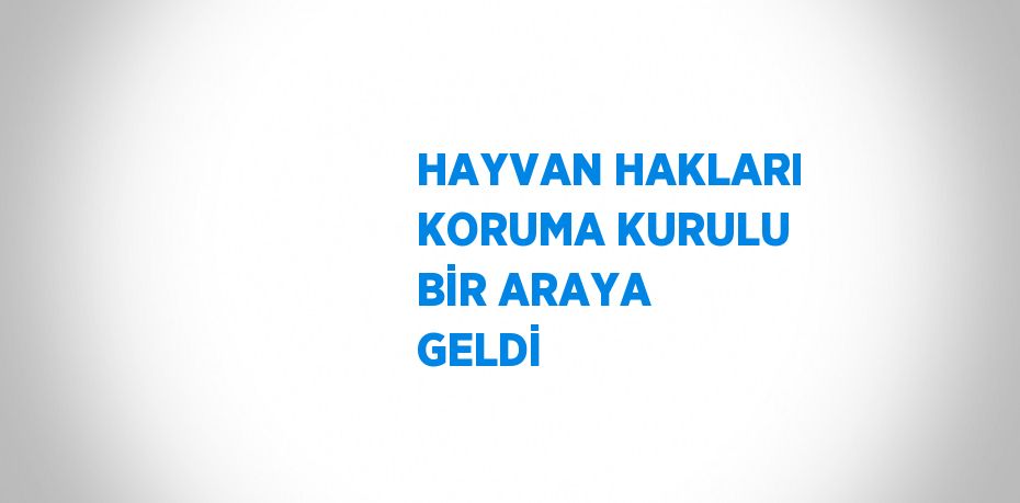 HAYVAN HAKLARI KORUMA KURULU BİR ARAYA GELDİ