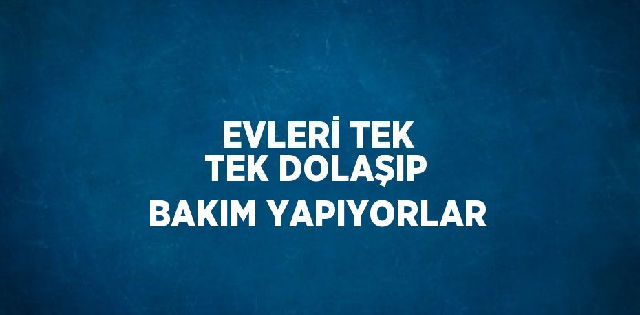 EVLERİ TEK TEK DOLAŞIP BAKIM YAPIYORLAR