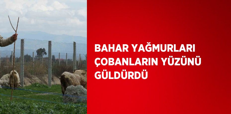 BAHAR YAĞMURLARI ÇOBANLARIN YÜZÜNÜ GÜLDÜRDÜ