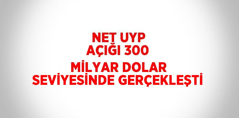 NET UYP AÇIĞI 300 MİLYAR DOLAR SEVİYESİNDE GERÇEKLEŞTİ