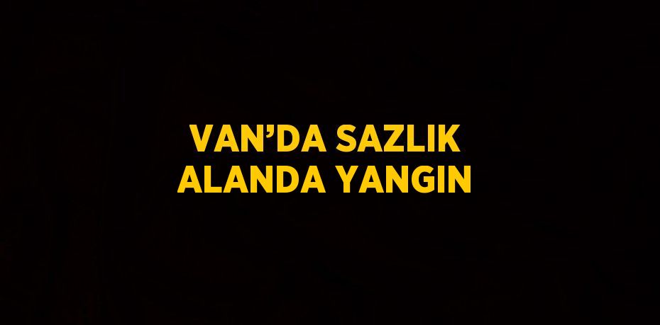 VAN’DA SAZLIK ALANDA YANGIN