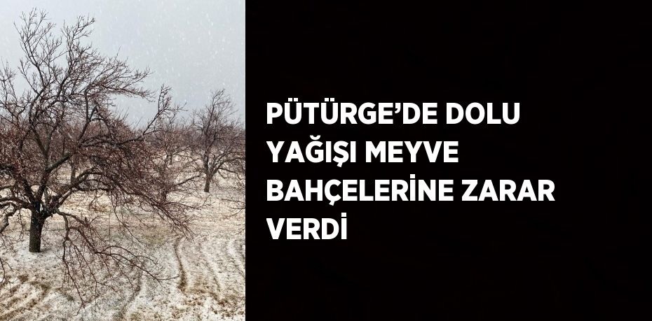PÜTÜRGE’DE DOLU YAĞIŞI MEYVE BAHÇELERİNE ZARAR VERDİ