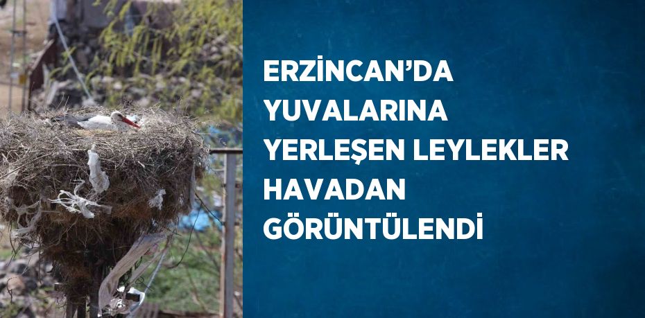 ERZİNCAN’DA YUVALARINA YERLEŞEN LEYLEKLER HAVADAN GÖRÜNTÜLENDİ