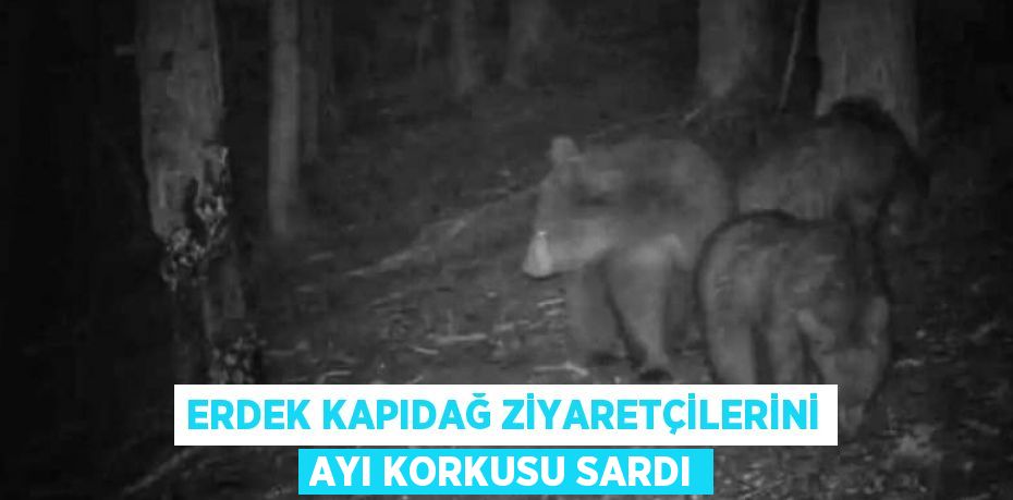 ERDEK KAPIDAĞ ZİYARETÇİLERİNİ AYI KORKUSU SARDI