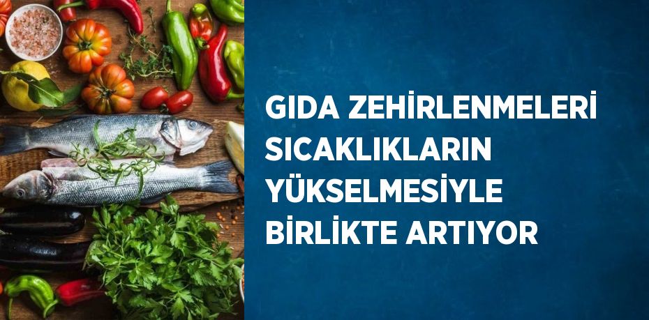 GIDA ZEHİRLENMELERİ SICAKLIKLARIN YÜKSELMESİYLE BİRLİKTE ARTIYOR