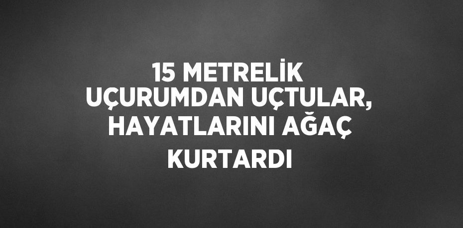 15 METRELİK UÇURUMDAN UÇTULAR, HAYATLARINI AĞAÇ KURTARDI