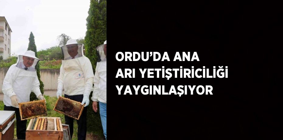 ORDU’DA ANA ARI YETİŞTİRİCİLİĞİ YAYGINLAŞIYOR