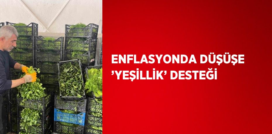 ENFLASYONDA DÜŞÜŞE ’YEŞİLLİK’ DESTEĞİ