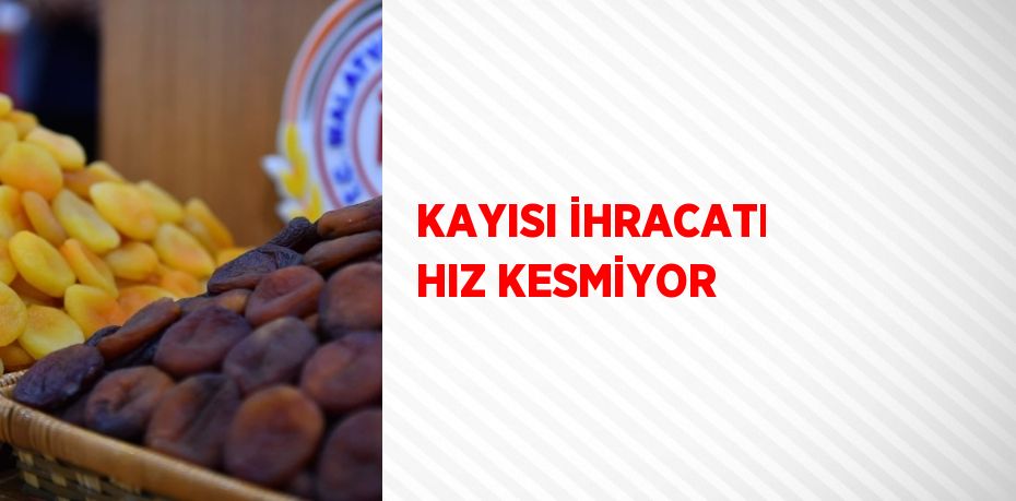 KAYISI İHRACATI HIZ KESMİYOR