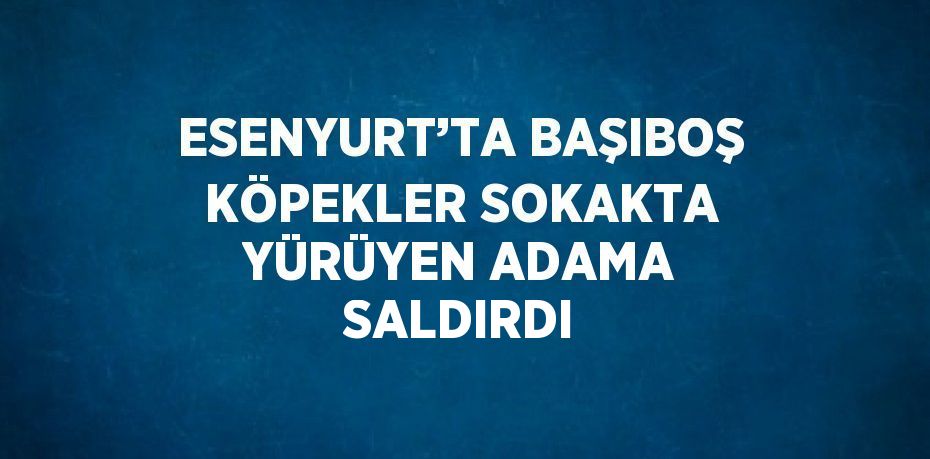 ESENYURT’TA BAŞIBOŞ KÖPEKLER SOKAKTA YÜRÜYEN ADAMA SALDIRDI