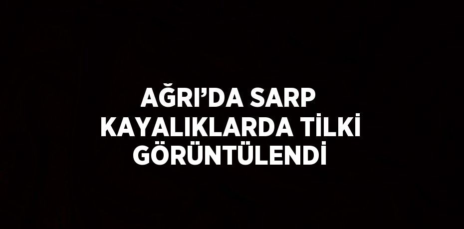 AĞRI’DA SARP KAYALIKLARDA TİLKİ GÖRÜNTÜLENDİ