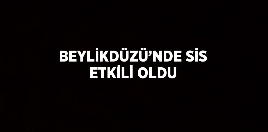 BEYLİKDÜZÜ’NDE SİS ETKİLİ OLDU