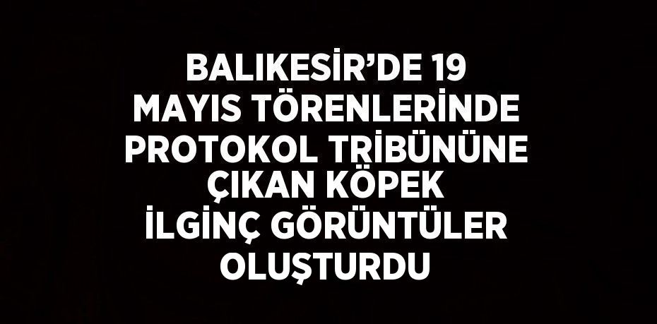 BALIKESİR’DE 19 MAYIS TÖRENLERİNDE PROTOKOL TRİBÜNÜNE ÇIKAN KÖPEK İLGİNÇ GÖRÜNTÜLER OLUŞTURDU