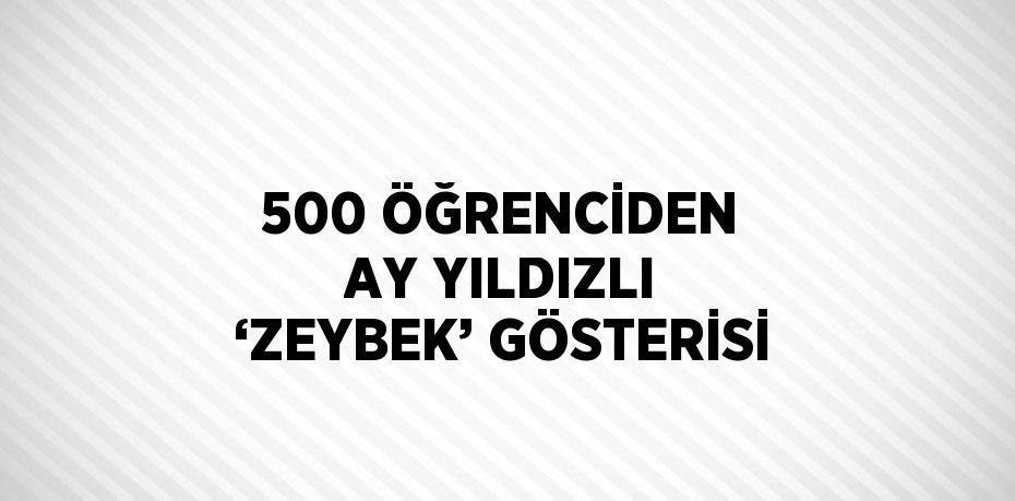 500 ÖĞRENCİDEN AY YILDIZLI ‘ZEYBEK’ GÖSTERİSİ