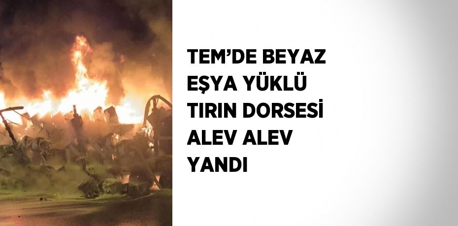 TEM’DE BEYAZ EŞYA YÜKLÜ TIRIN DORSESİ ALEV ALEV YANDI