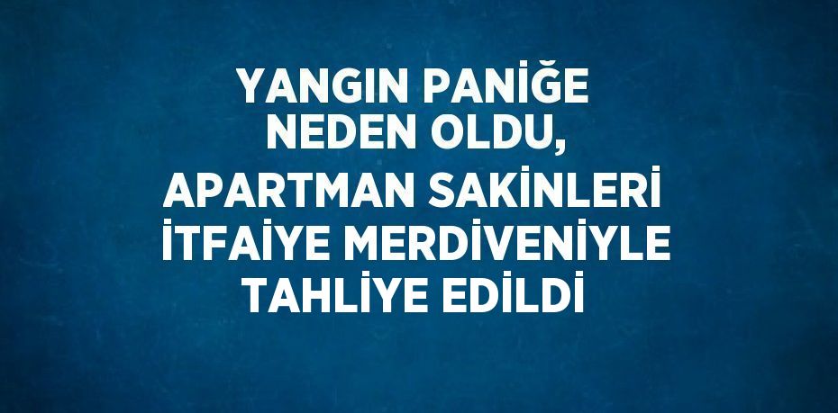 YANGIN PANİĞE NEDEN OLDU, APARTMAN SAKİNLERİ İTFAİYE MERDİVENİYLE TAHLİYE EDİLDİ