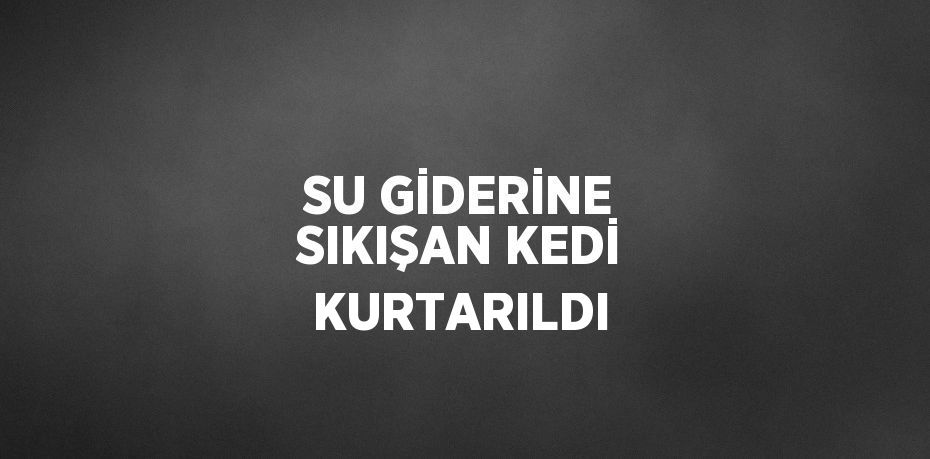 SU GİDERİNE SIKIŞAN KEDİ KURTARILDI