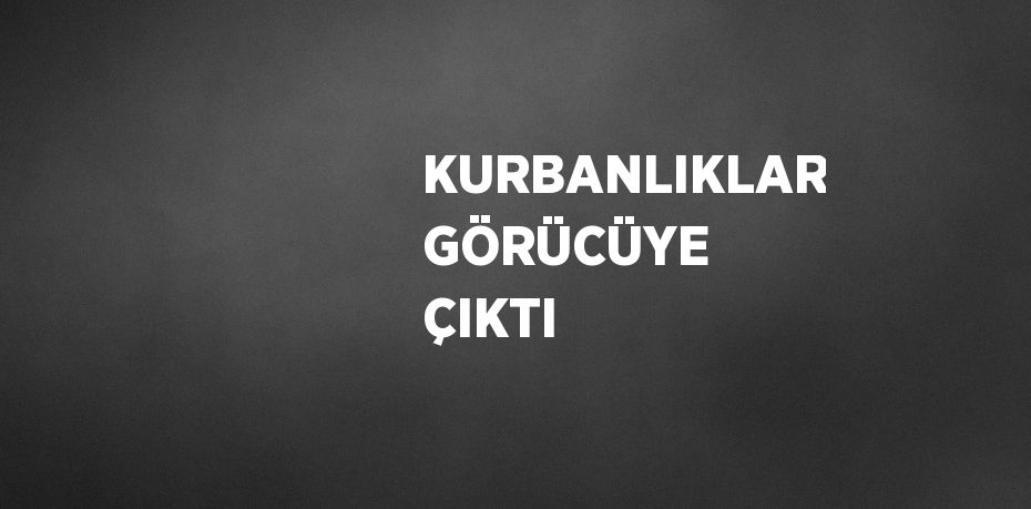 KURBANLIKLAR GÖRÜCÜYE ÇIKTI