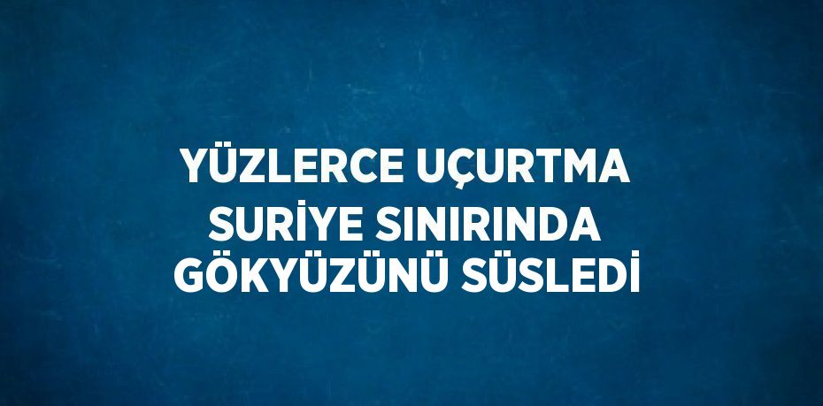 YÜZLERCE UÇURTMA SURİYE SINIRINDA GÖKYÜZÜNÜ SÜSLEDİ