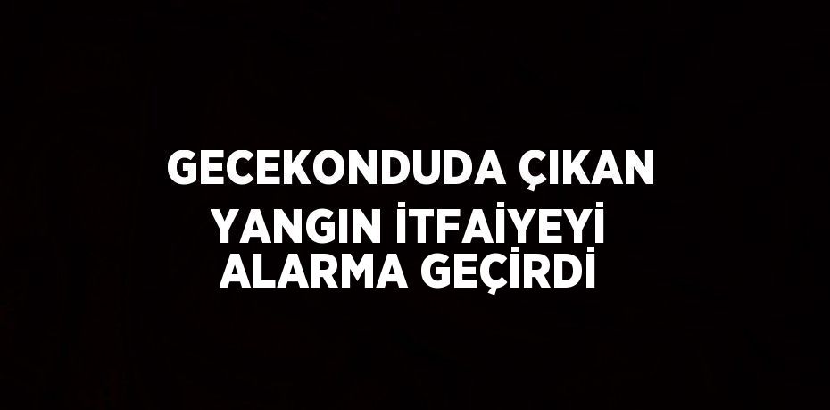 GECEKONDUDA ÇIKAN YANGIN İTFAİYEYİ ALARMA GEÇİRDİ