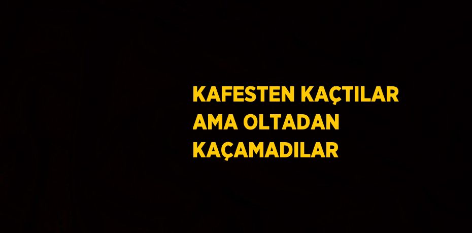KAFESTEN KAÇTILAR AMA OLTADAN KAÇAMADILAR