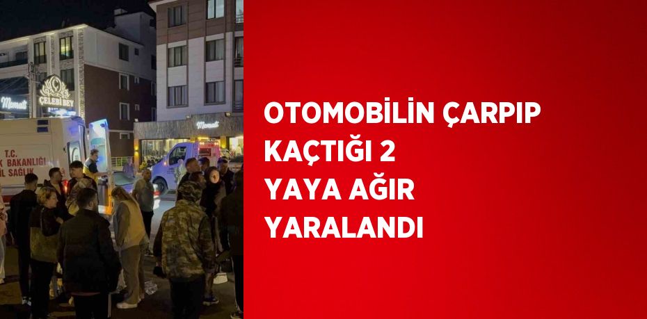 OTOMOBİLİN ÇARPIP KAÇTIĞI 2 YAYA AĞIR YARALANDI