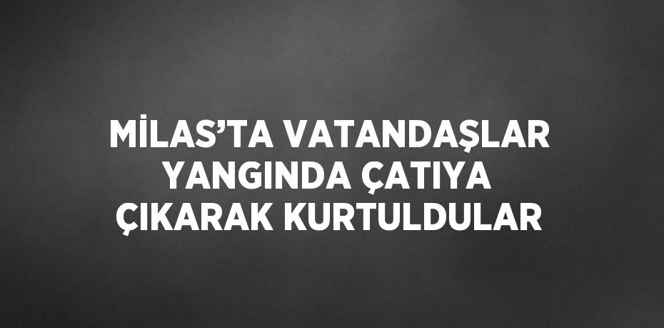 MİLAS’TA VATANDAŞLAR YANGINDA ÇATIYA ÇIKARAK KURTULDULAR