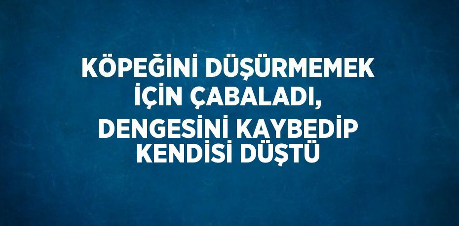 KÖPEĞİNİ DÜŞÜRMEMEK İÇİN ÇABALADI, DENGESİNİ KAYBEDİP KENDİSİ DÜŞTÜ