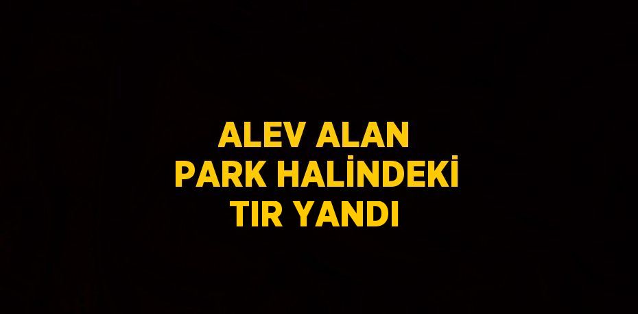 ALEV ALAN PARK HALİNDEKİ TIR YANDI