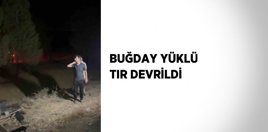 BUĞDAY YÜKLÜ TIR DEVRİLDİ