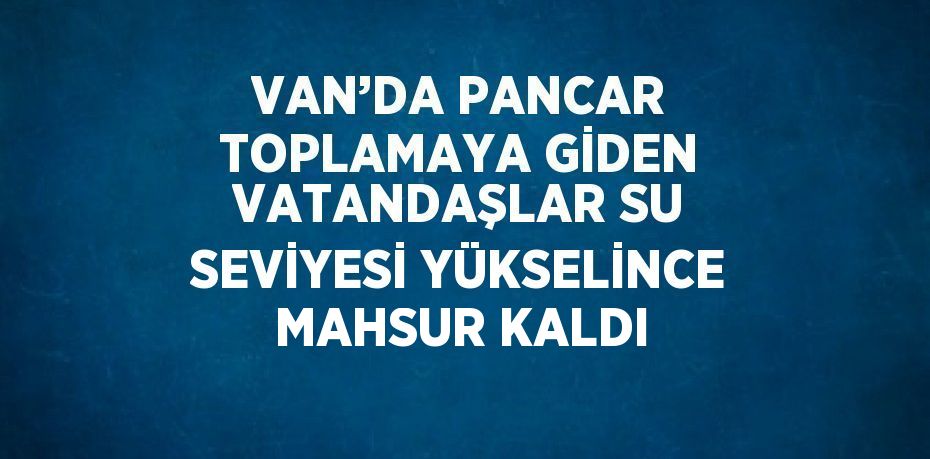 VAN’DA PANCAR TOPLAMAYA GİDEN VATANDAŞLAR SU SEVİYESİ YÜKSELİNCE MAHSUR KALDI