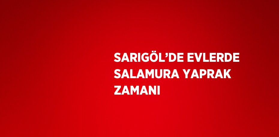 SARIGÖL’DE EVLERDE SALAMURA YAPRAK ZAMANI