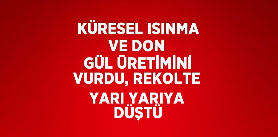 KÜRESEL ISINMA VE DON GÜL ÜRETİMİNİ VURDU, REKOLTE YARI YARIYA DÜŞTÜ
