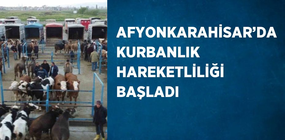 AFYONKARAHİSAR’DA KURBANLIK HAREKETLİLİĞİ BAŞLADI