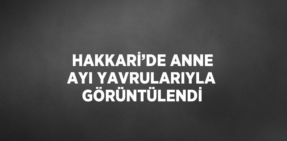 HAKKARİ’DE ANNE AYI YAVRULARIYLA GÖRÜNTÜLENDİ