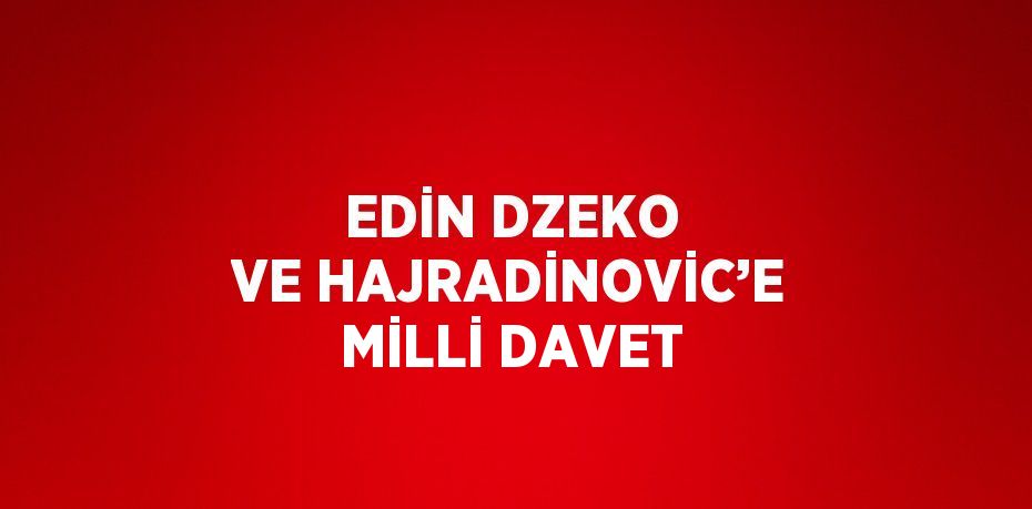 EDİN DZEKO VE HAJRADİNOVİC’E MİLLİ DAVET