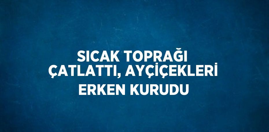 SICAK TOPRAĞI ÇATLATTI, AYÇİÇEKLERİ ERKEN KURUDU