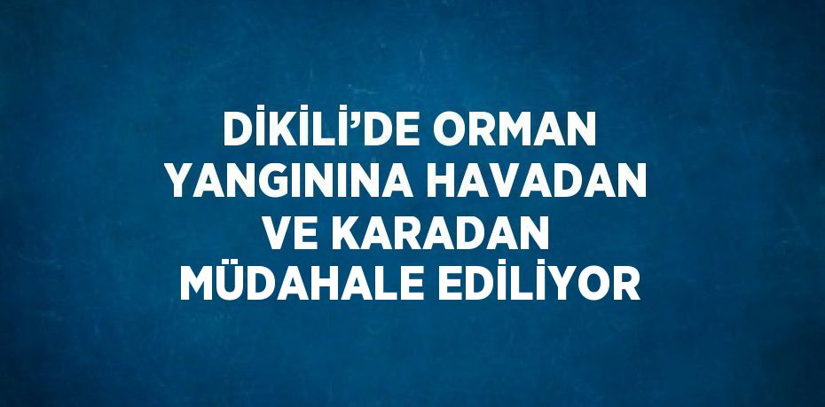 DİKİLİ’DE ORMAN YANGININA HAVADAN VE KARADAN MÜDAHALE EDİLİYOR