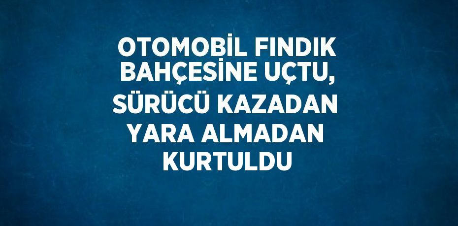 OTOMOBİL FINDIK BAHÇESİNE UÇTU, SÜRÜCÜ KAZADAN YARA ALMADAN KURTULDU