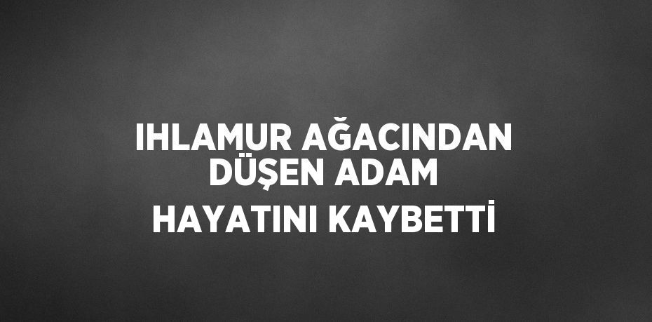 IHLAMUR AĞACINDAN DÜŞEN ADAM HAYATINI KAYBETTİ