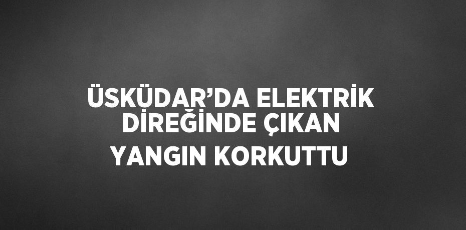 ÜSKÜDAR’DA ELEKTRİK DİREĞİNDE ÇIKAN YANGIN KORKUTTU