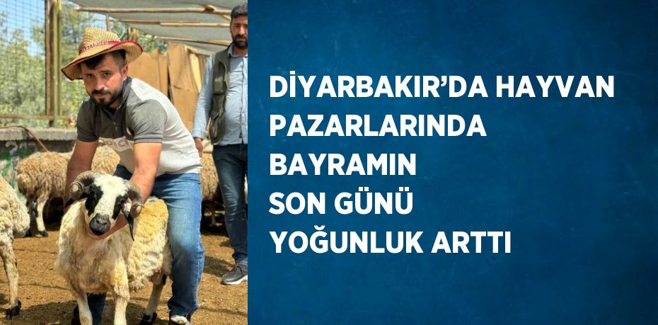 DİYARBAKIR’DA HAYVAN PAZARLARINDA BAYRAMIN SON GÜNÜ YOĞUNLUK ARTTI